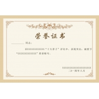 榮譽(yù)證書(shū)三